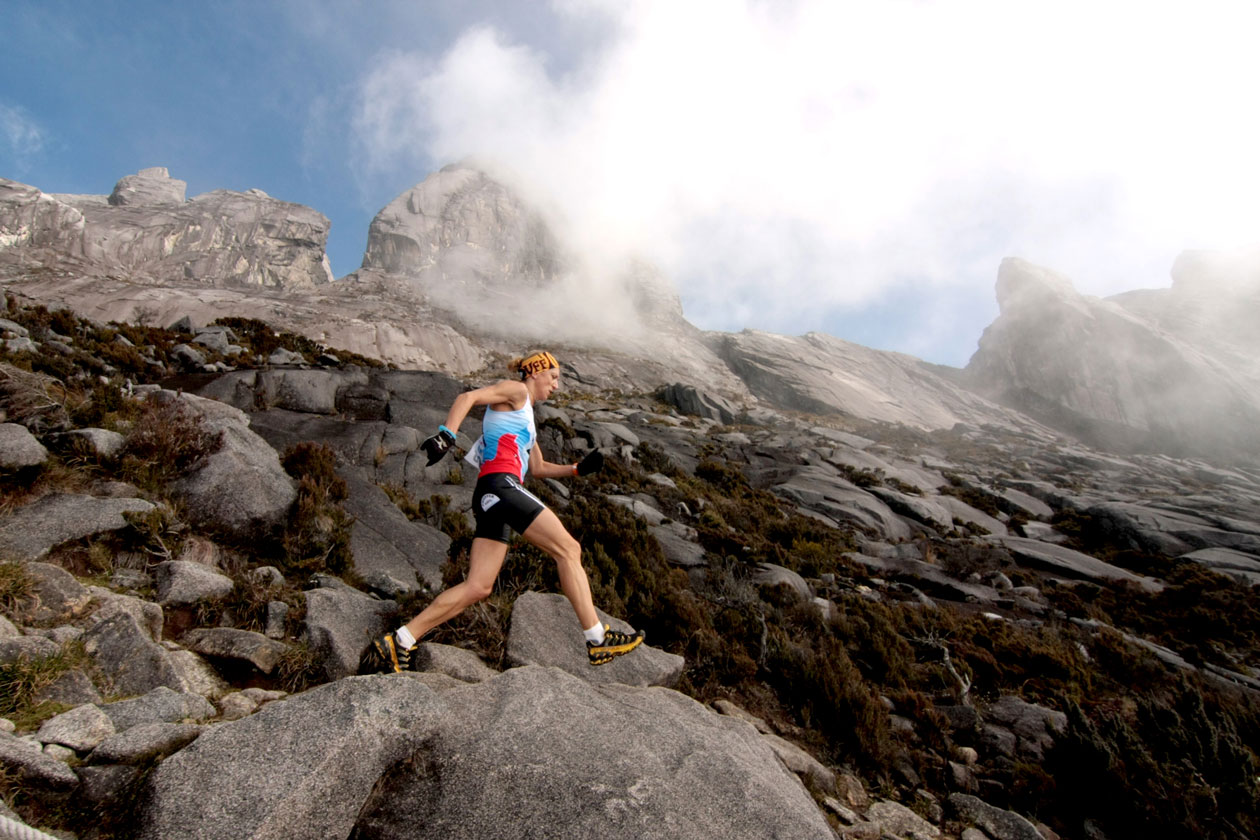 Mountain Biodiversity 2020 International Mountain Day The International Skyrunning Federation